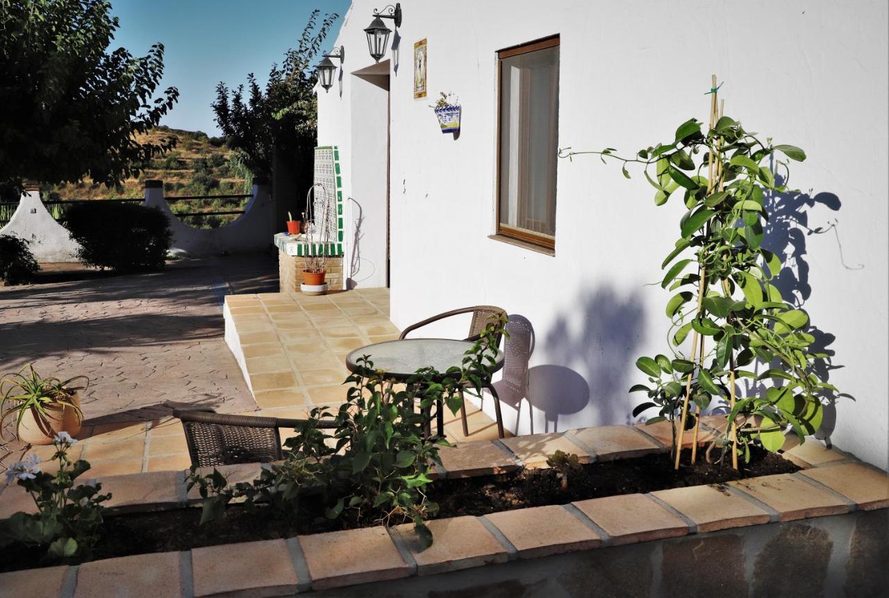 Finca La Meica Bed&Breakfast Casabermeja Buitenkant foto